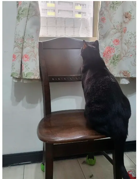 聽到斑鳩聲(李建崑攝影)