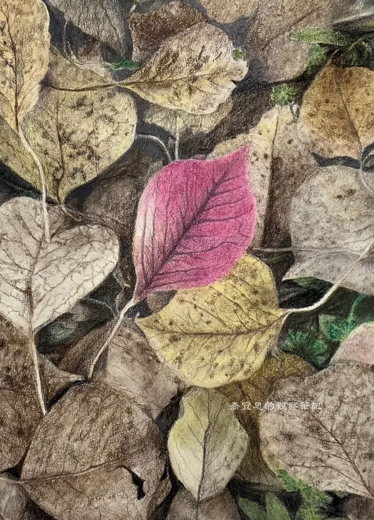 兀自美麗的顏色