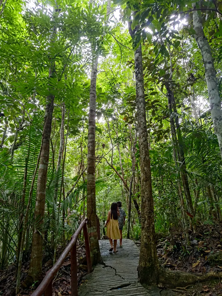 園區內的主要路線，真的很有南國的風情
