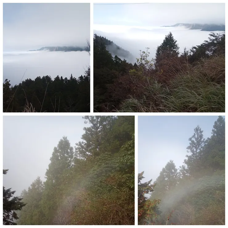 沿觀雲棧道見彩虹後，緊接著撥雲見日，見到雲海在山谷翻騰