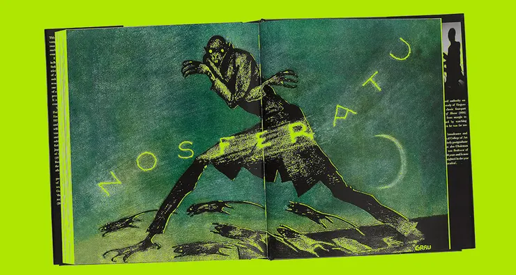 你可能是見不得十字的「新物種」喔