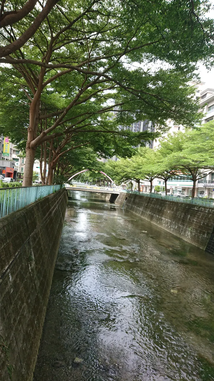 荳仔埔溪中上游