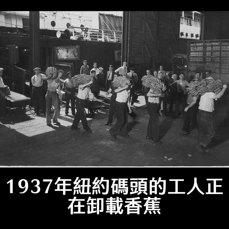 圖片來源：1937年紐約碼頭的工人正在卸載香蕉（LEWIS HINE, FEDERAL WORKS AGENCY/PUBLIC DOMAIN）