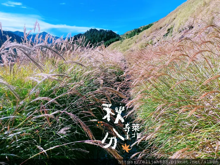 【來去奇萊主北】D2-3成功山屋住一晚/小奇萊/奇萊登山口/