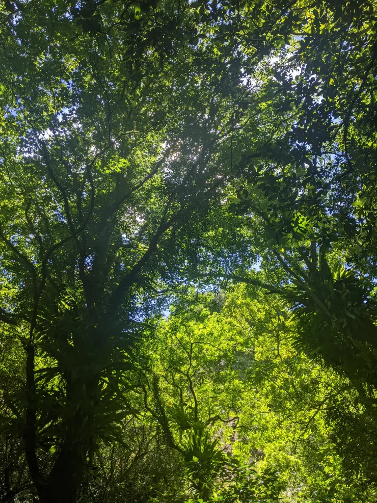 謝謝今天的大好晴天，也謝謝樹讓這段旅程很涼爽