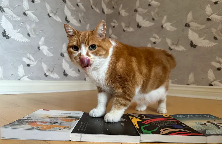 Cha Cha的小手一直捨不得離開女怨。