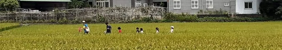 傻剛的胡思亂想