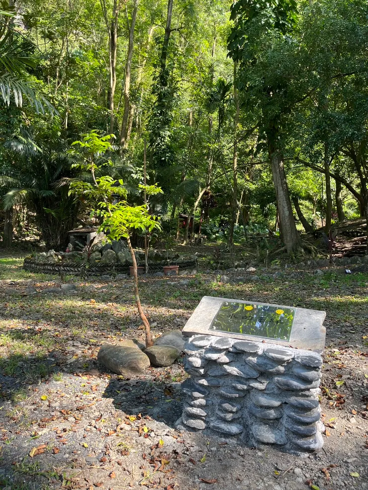 前來朝聖二峰圳 100 周年與日本靜岡縣袋井扶輪社合力種下的樹苗