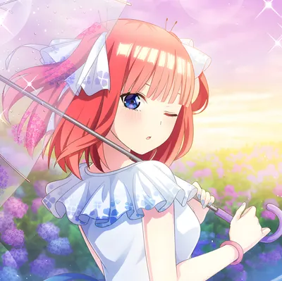 星火的小說之家