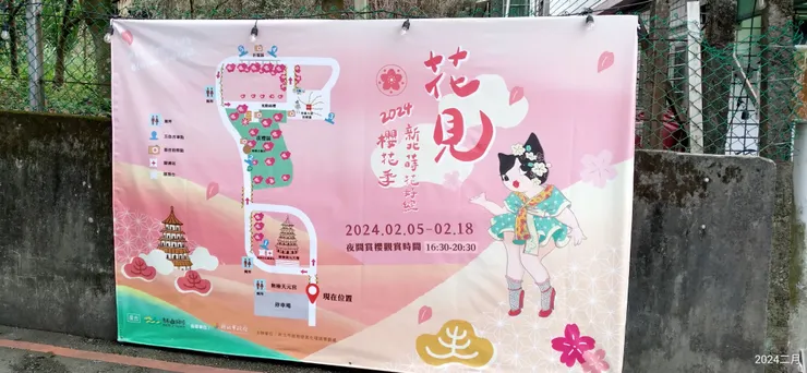 今年多了貓妹妹