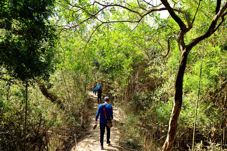 進入泥土路徑。