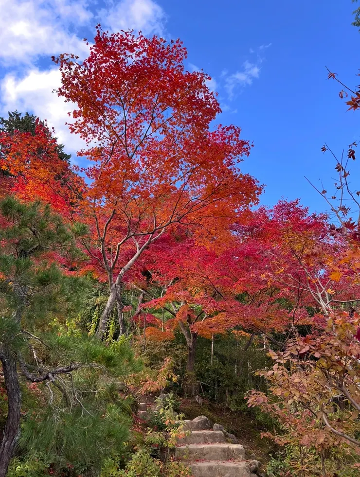 處處都是夢幻美景