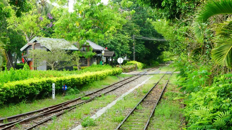 偽龍貓隧道