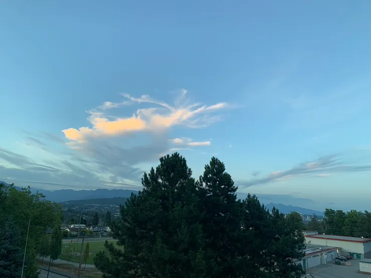 成年版 : 被開啟的神性 -帝君誕生-