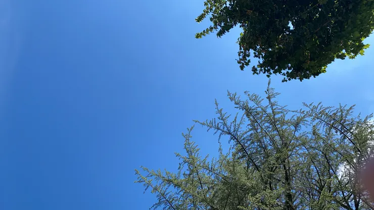 仰望湛藍的天空