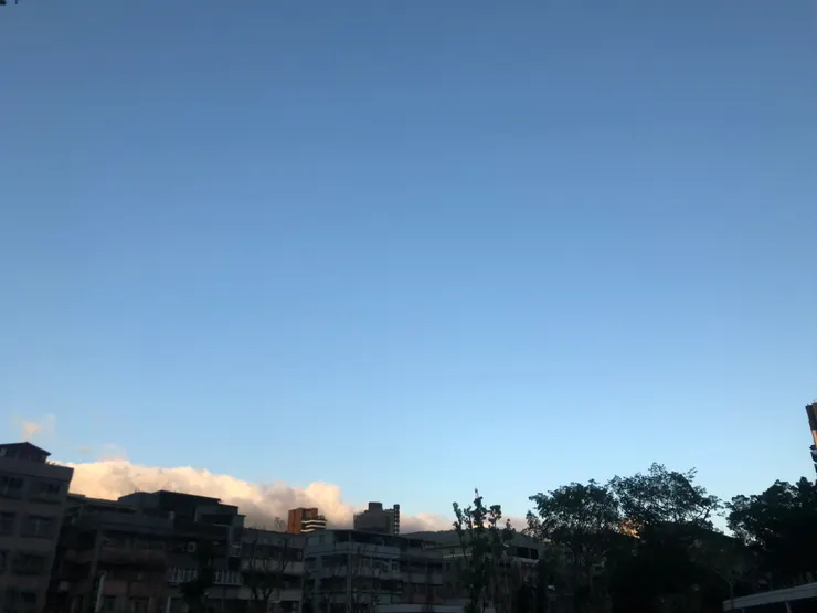 一封寫給創傷的感謝🙏信