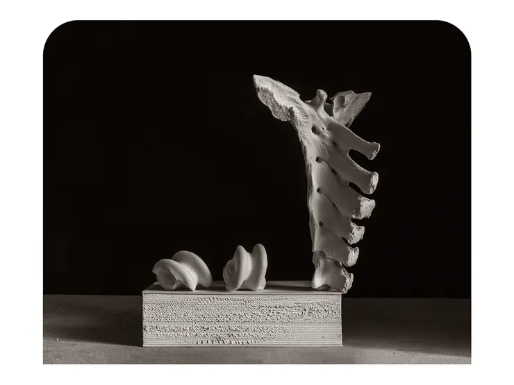 馮君藍《骨中骨》圖片來源自 基督教今日報