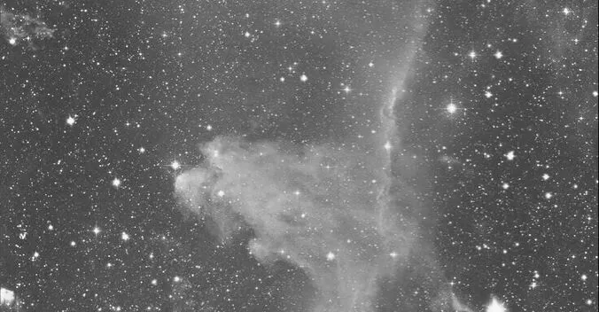 Hedy Y. 新知報報