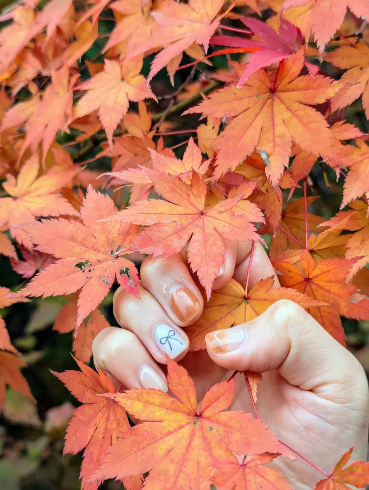 刻意與楓紅搭配的美甲