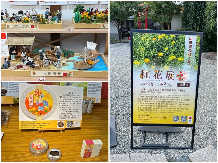 紅花展內敘述紅花採摘過程，以及目前販賣的紅花產品