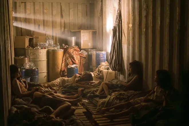 被裝載在貨櫃中被運到世界各地的幼童