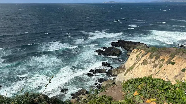 ▲我試著想靠崖邊近一點，看能不能看到更多，懼高加膽小，失敗！