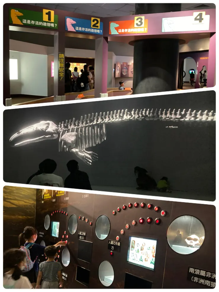 生命科學廳的第四特展室「鯨掘」很推薦去參觀！
