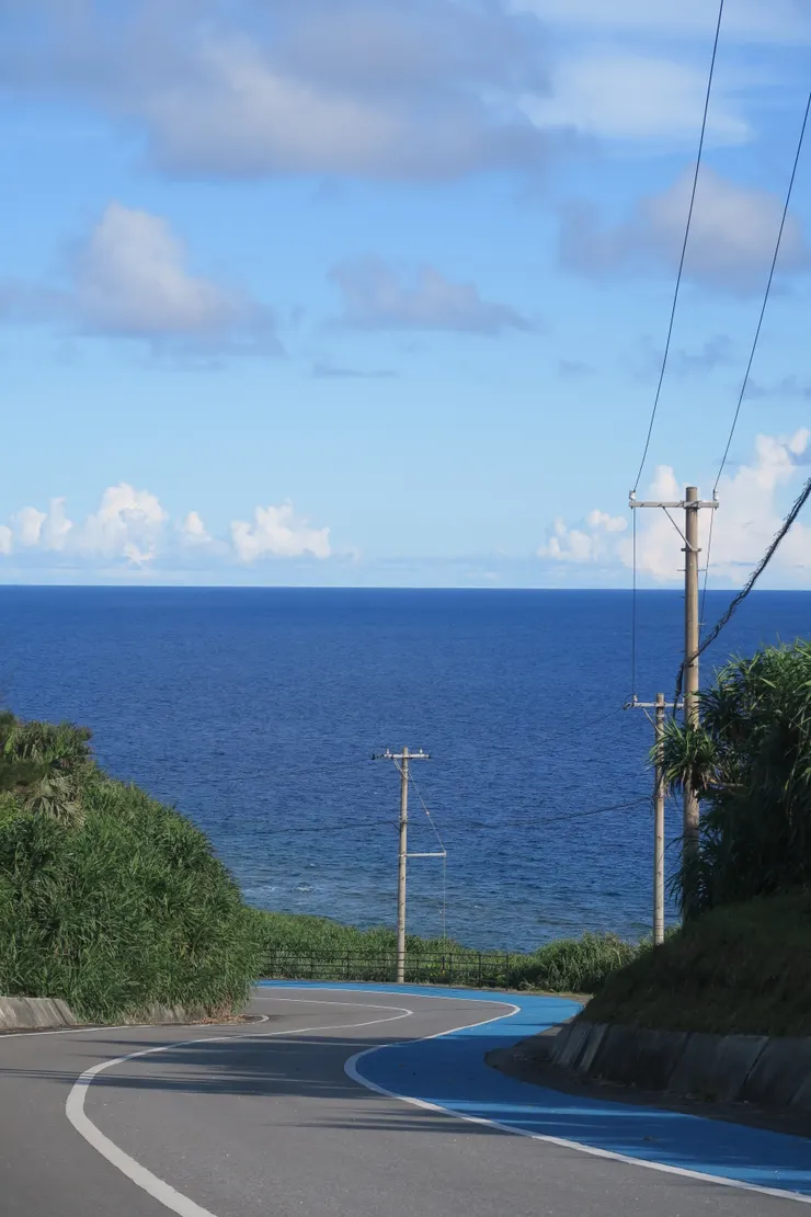 突然想到也有人建議租腳踏車環與那國島。但就是要忍受這些上上下下的山坡