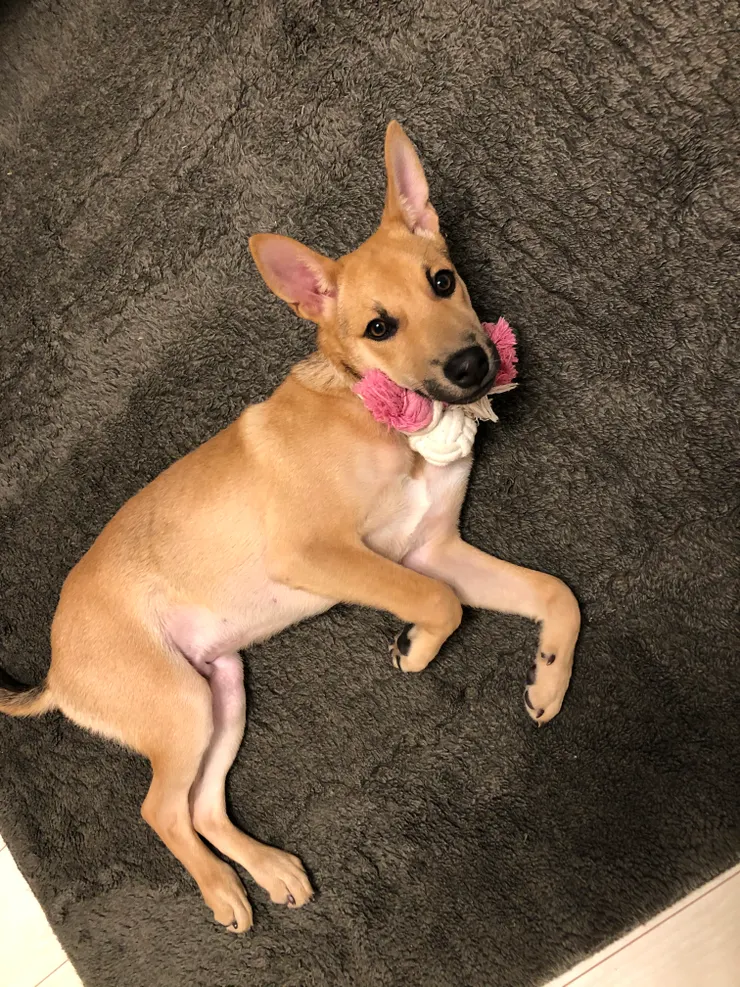 小時候的他是不是很可愛😍