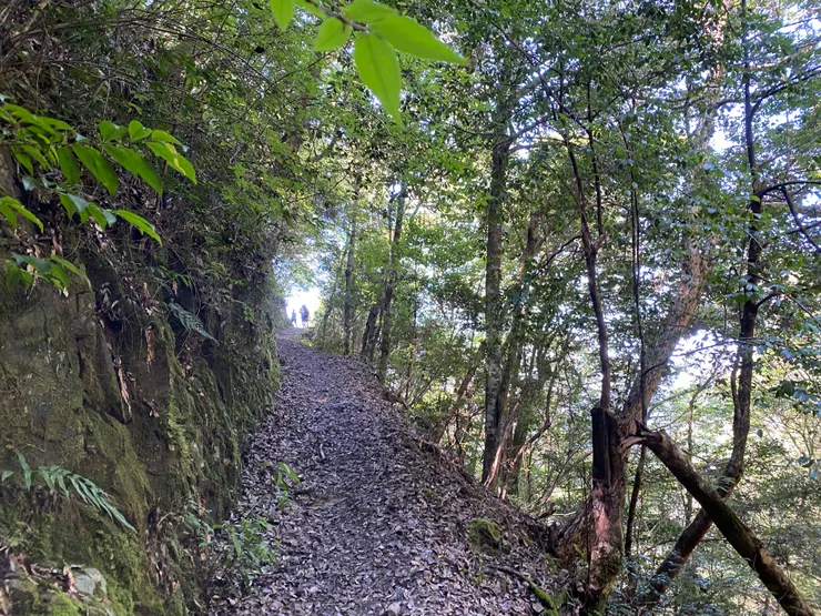 已經有朋友走到看風景
