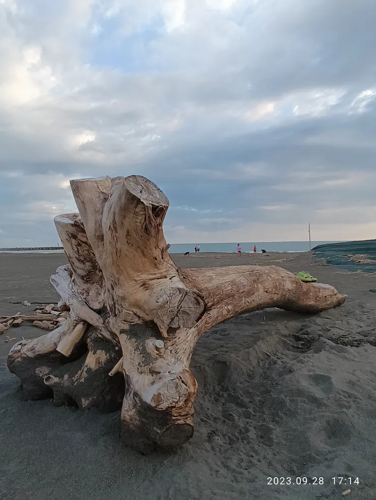 她是海？海是她？還都不是？無庸諱言，自拍攝