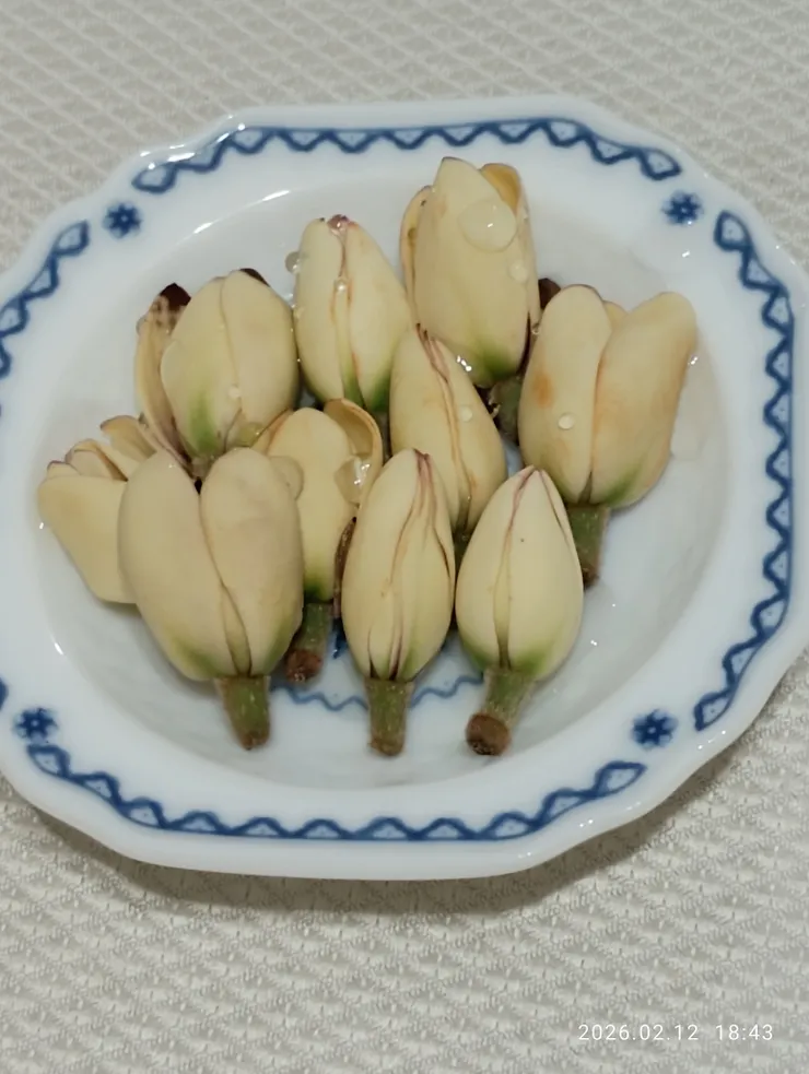 摘取些含笑供養天地四方，皆自拍攝