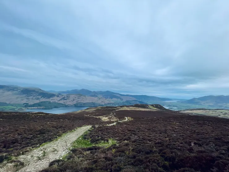苔蘚佈滿了整片山丘