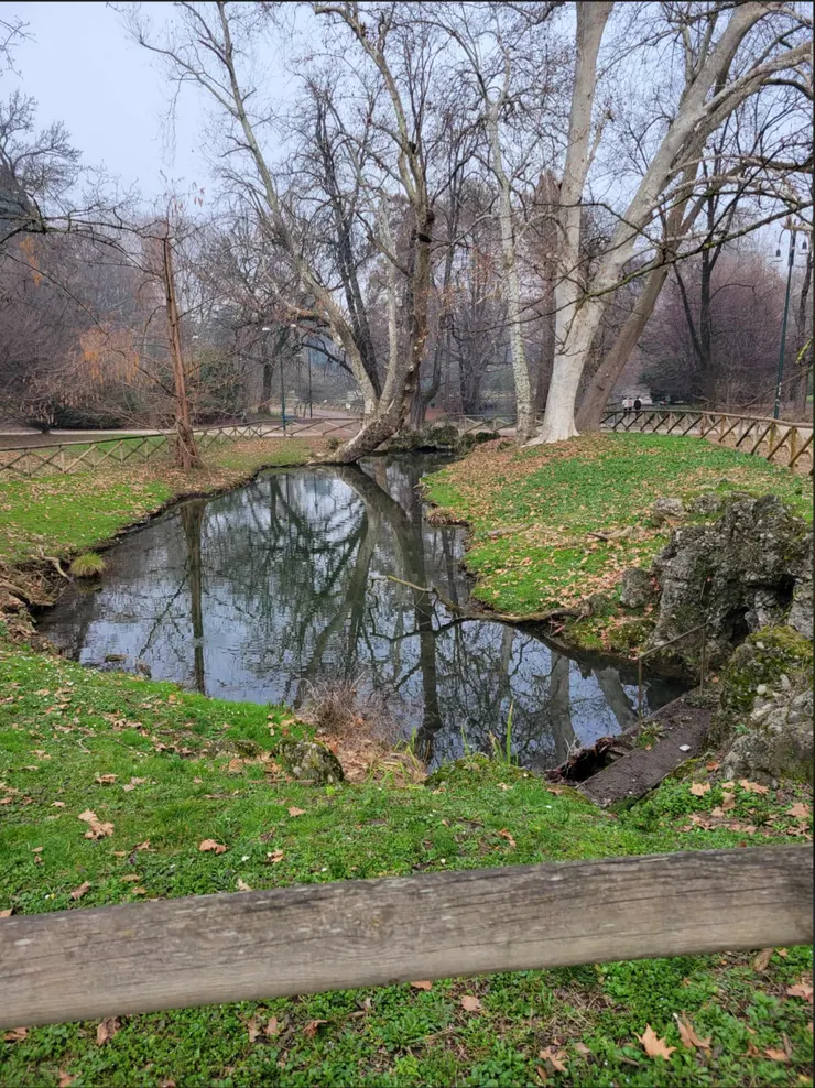 稍微找到一個有點綠意的地方了