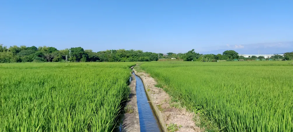 Annie 的理財・理生活