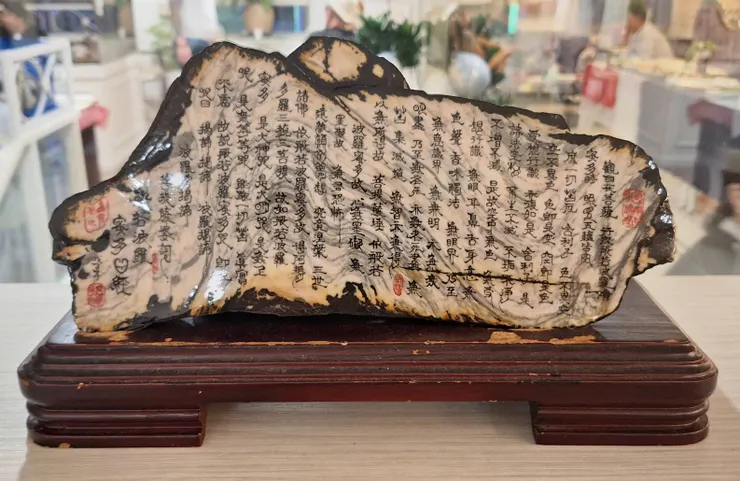 ▲桃園美麗群健康美學藝術館、呂學城先生生日派對暨公司開幕酒會。（圖/吳勝峯 拍攝）