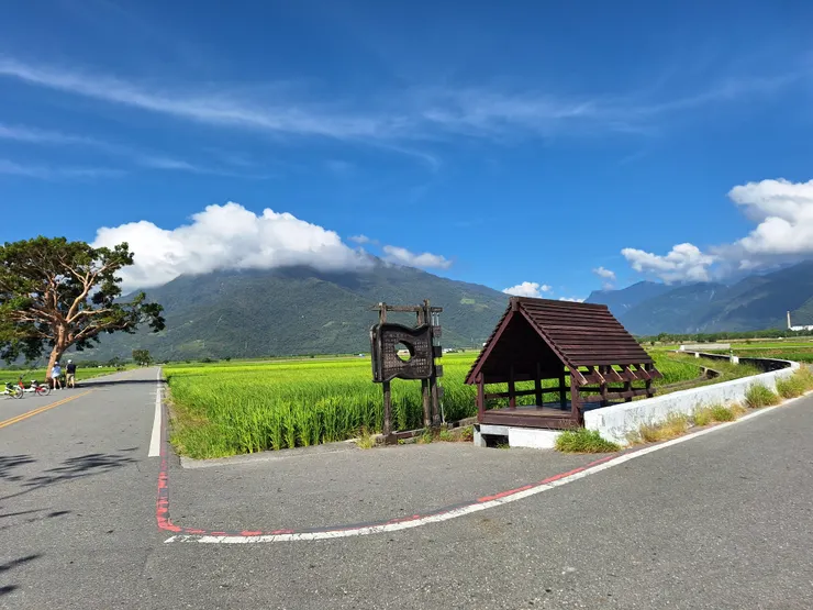 台東池上伯朗大道