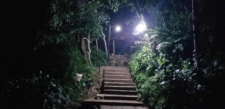 過了對岸就是森林