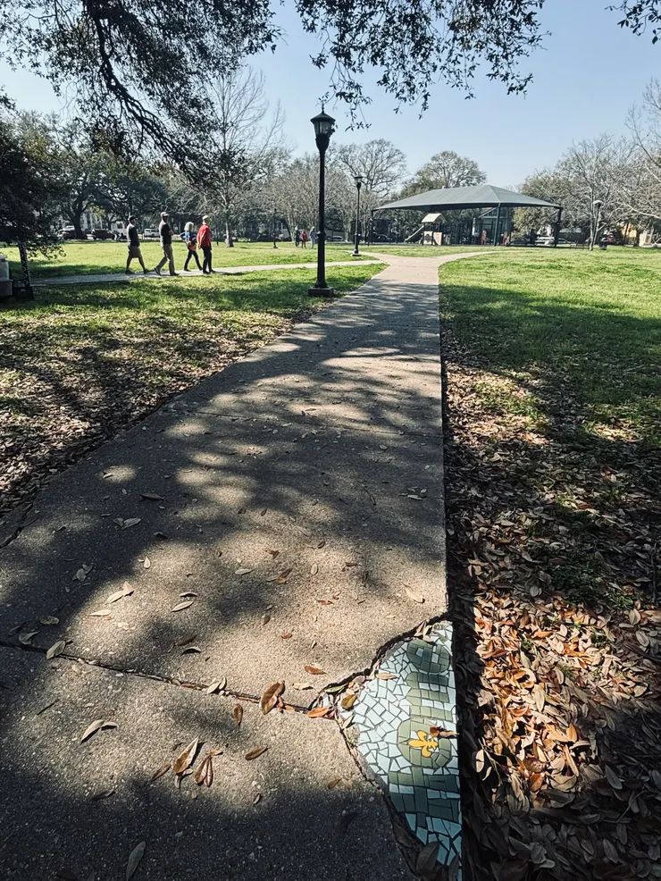 午後來公園散步是最近的小確幸