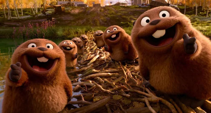 河狸喜歡築壩建立小湖泊做為棲息地使用，同時也造福了其他的動物能以湖泊為家。