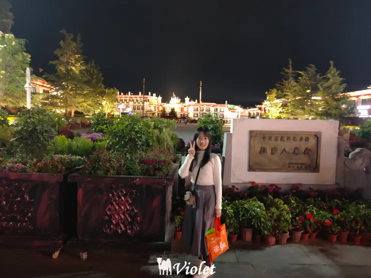 西藏 拉薩大昭寺夜景