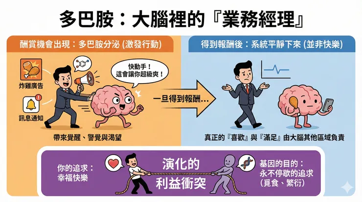 渴望（多巴胺）」與「快樂（腦內啡/血清素）」的區別
