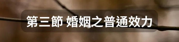 第三節 婚姻之普通效力