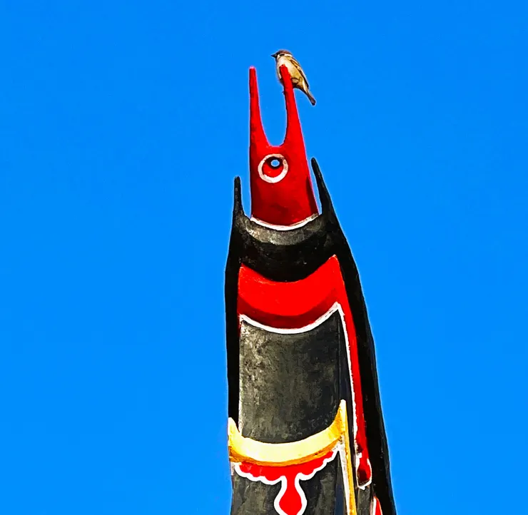 金門古厝上的晨間麻雀