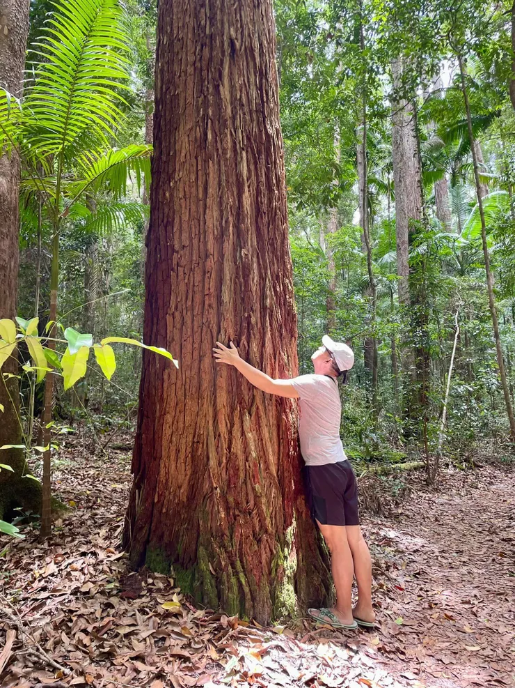 楊錦聰喜歡喜歡靜靜地凝視林中大樹,向樹木學習生命的哲學。