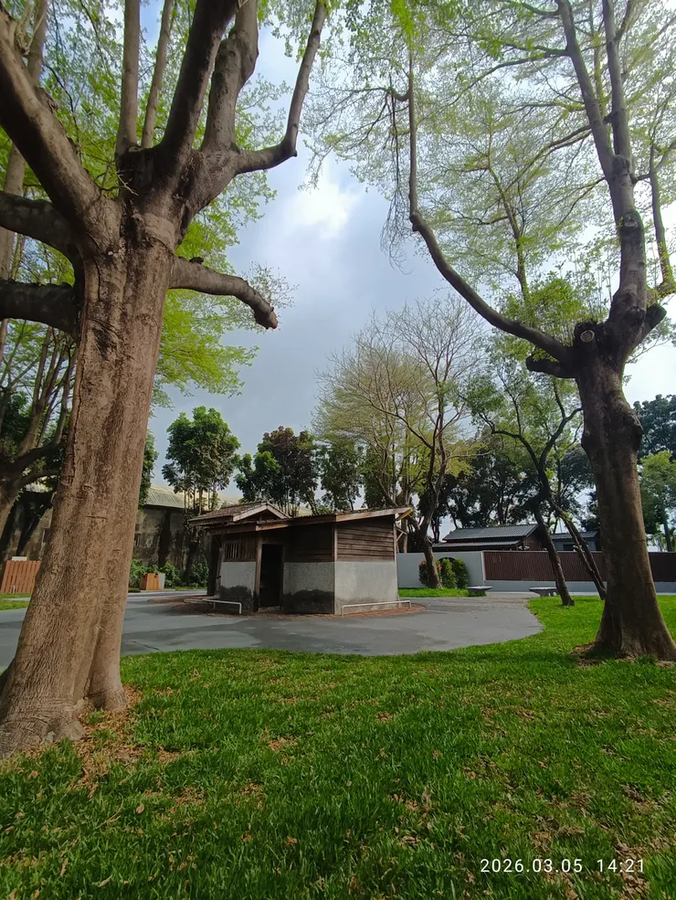 黛雲遠淡看往來，皆自拍攝