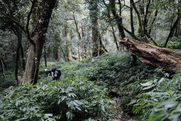 往西大武的一陣小陡上