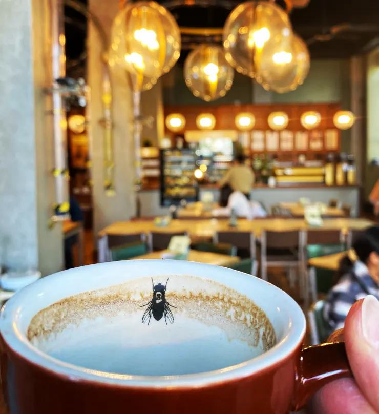 基督城有著上百家各有特色的咖啡廳