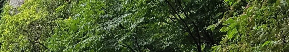 象山慶(淨慶,張火慶: 博士/教授) 的沙龍