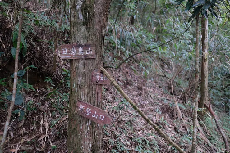 第二個日湯真與舊登山口的岔路